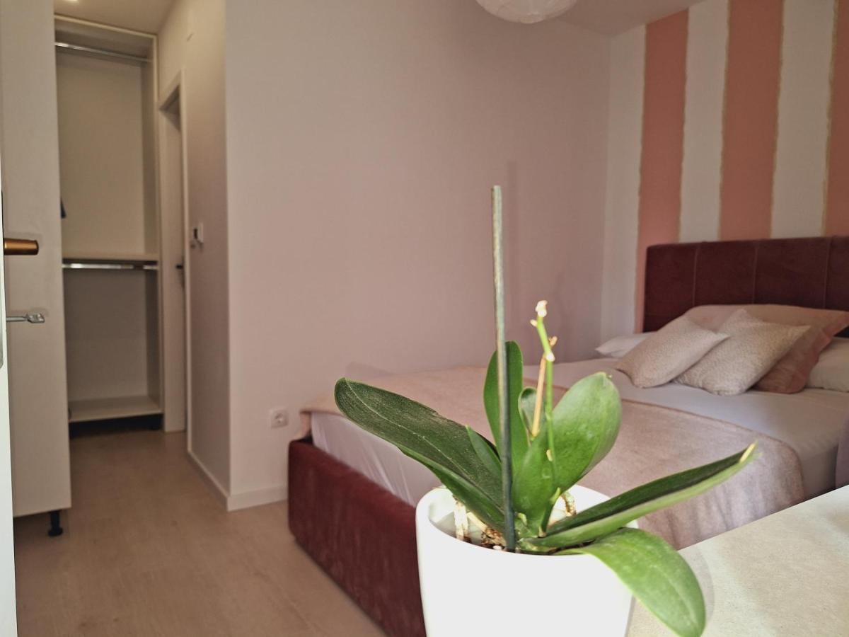 Апартаменты Apartman Maja **** Шибеник Экстерьер фото